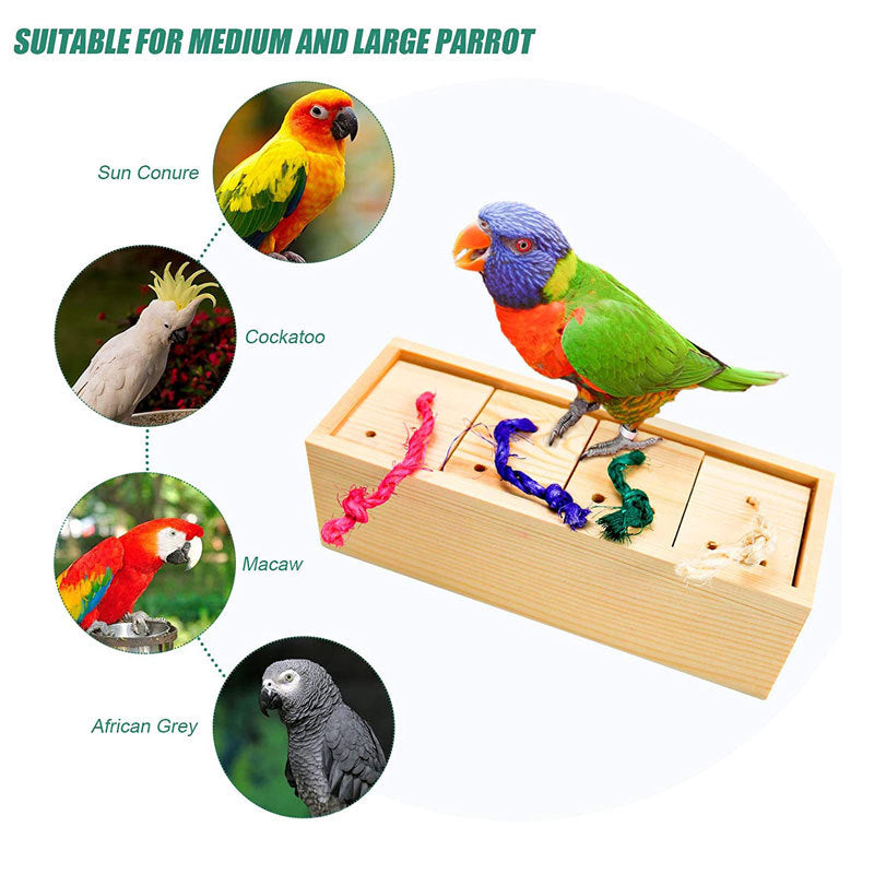 Bird Toys