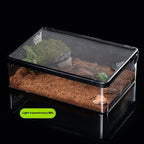 Small Pet Feeding Habitat
