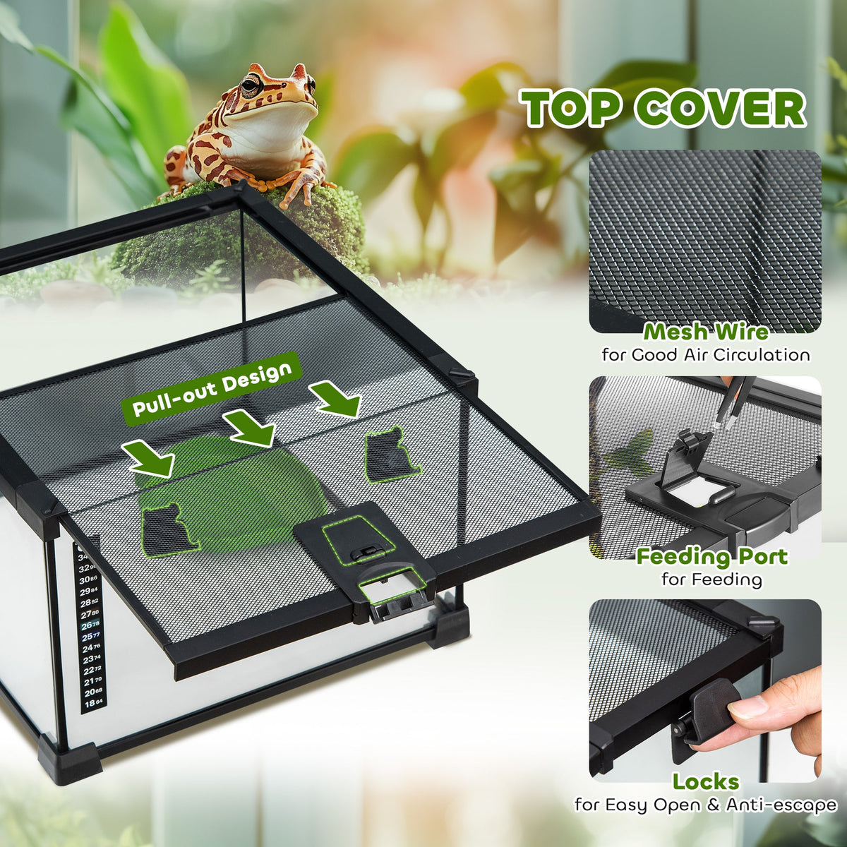 Small Reptile and Amphibian Top Opening Enclosure
