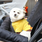 Rear Car Dog and Cat Bed