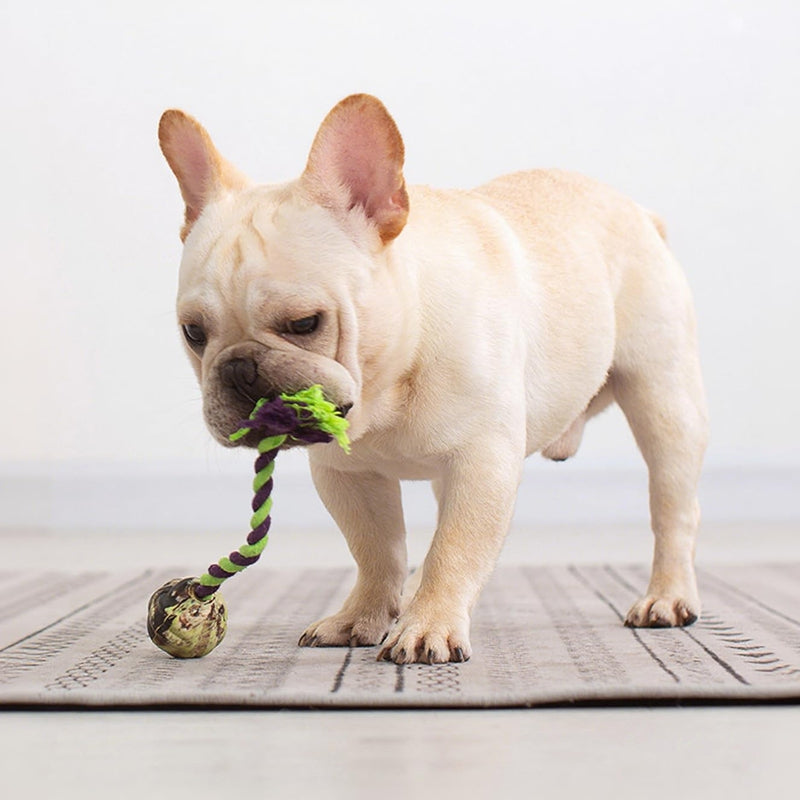 Ball Knot Dog Toys