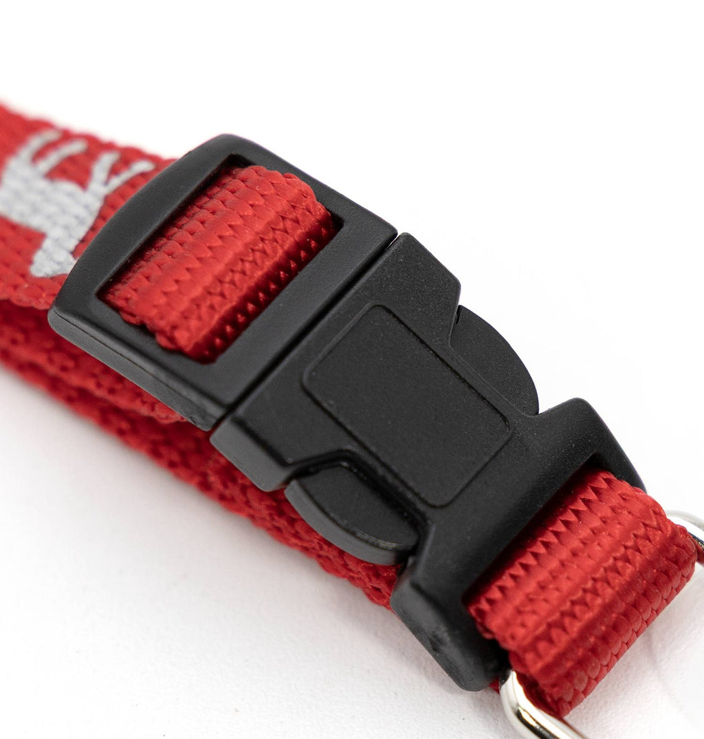 Reflective Dog Collar