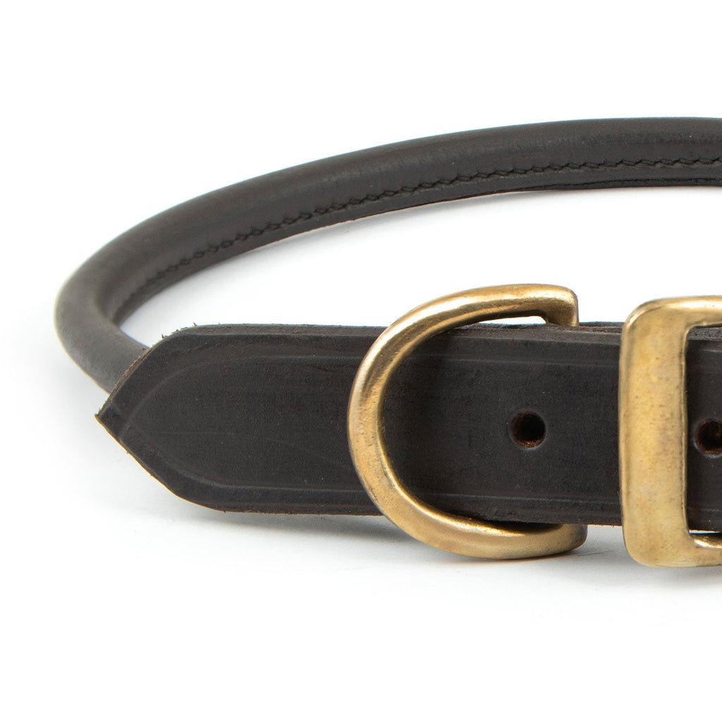 Leather Dog Collars with Brass Hardware
