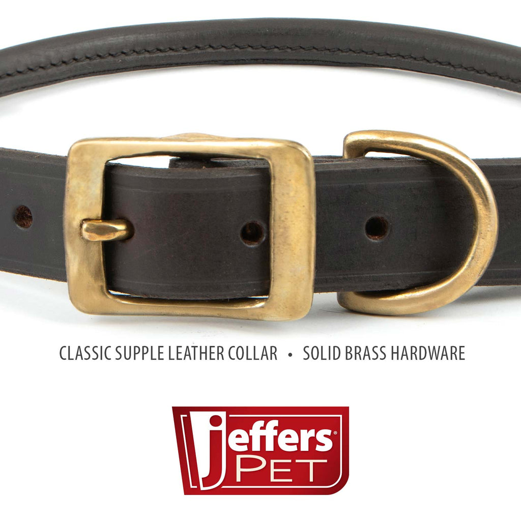 Leather Dog Collars with Brass Hardware