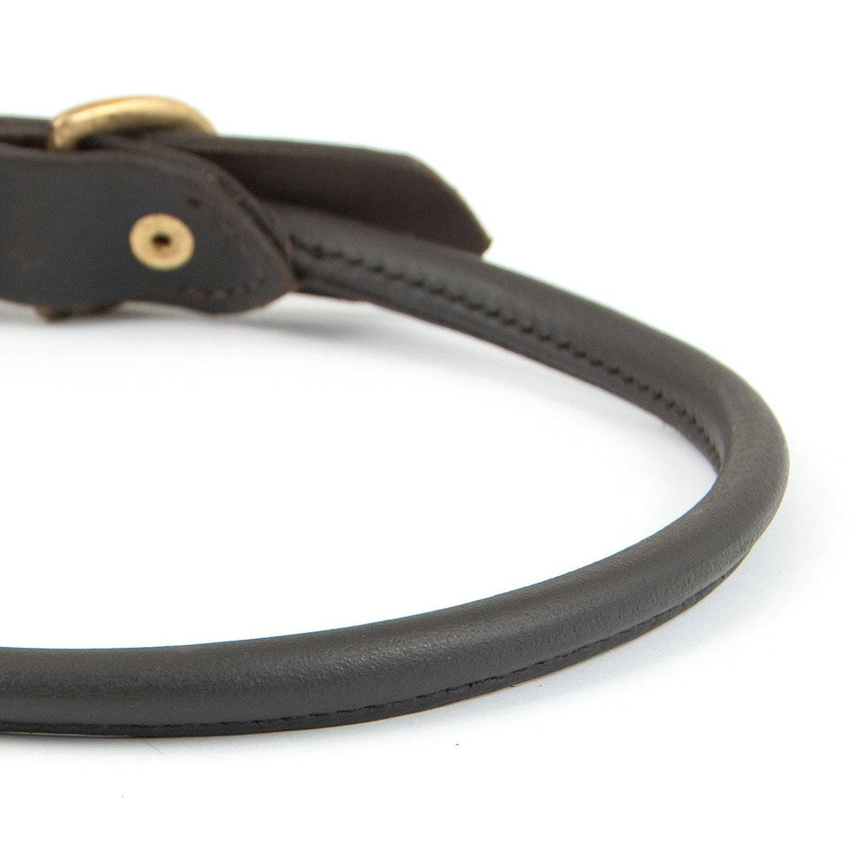 Leather Dog Collars with Brass Hardware