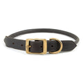 Leather Dog Collars with Brass Hardware