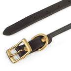 Leather Dog Collars with Brass Hardware