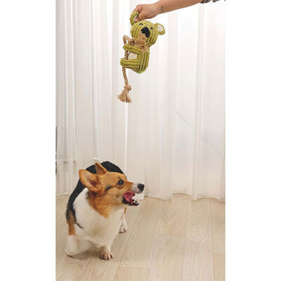 Eco-Friendly Dog Toy
