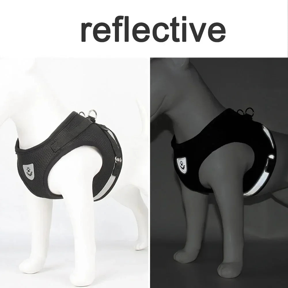 Reflective Cat Harness and Leash
