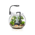 Desktop Plastic Aquarium Set