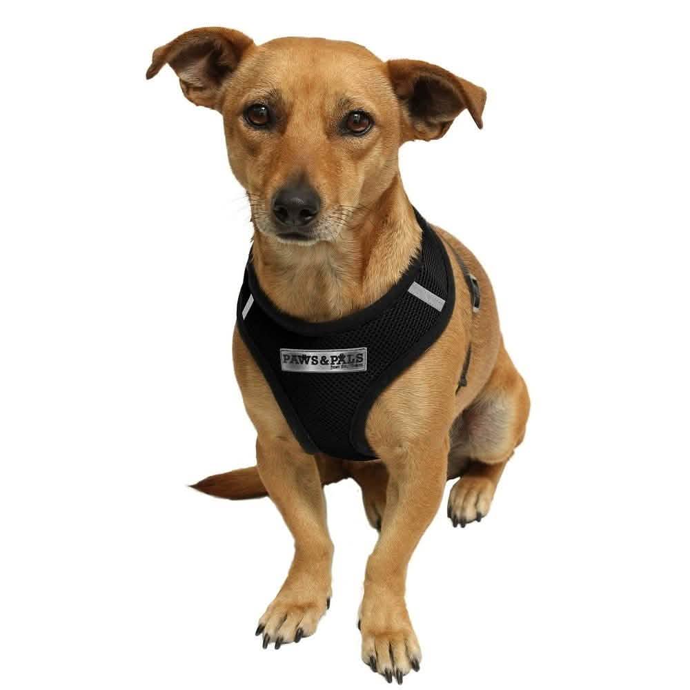 OxGord  Comfort Travel Portable Pet Harness