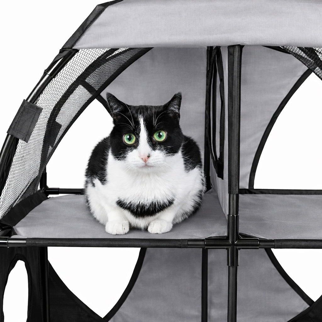 Travel Interactive Kitty Cat Tree Maze Hous