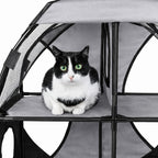 Travel Interactive Kitty Cat Tree Maze Hous