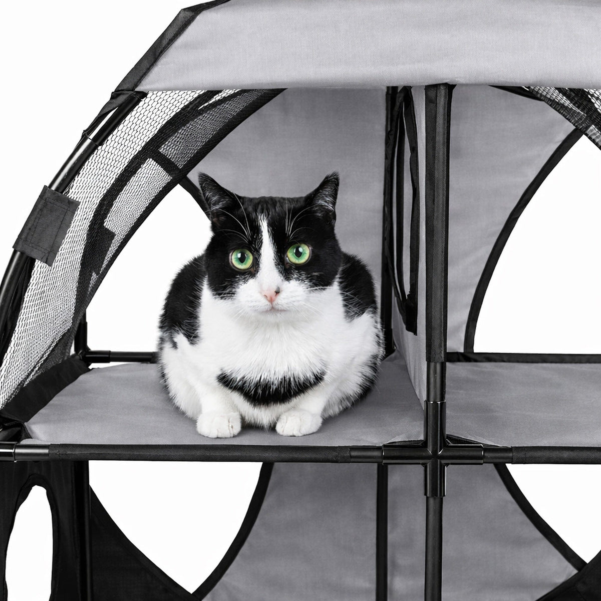Travel Interactive Kitty Cat Tree Maze Hous