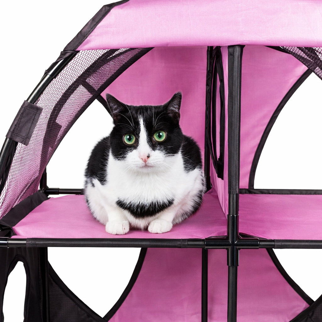 Travel Interactive Kitty Cat Tree Maze Hous