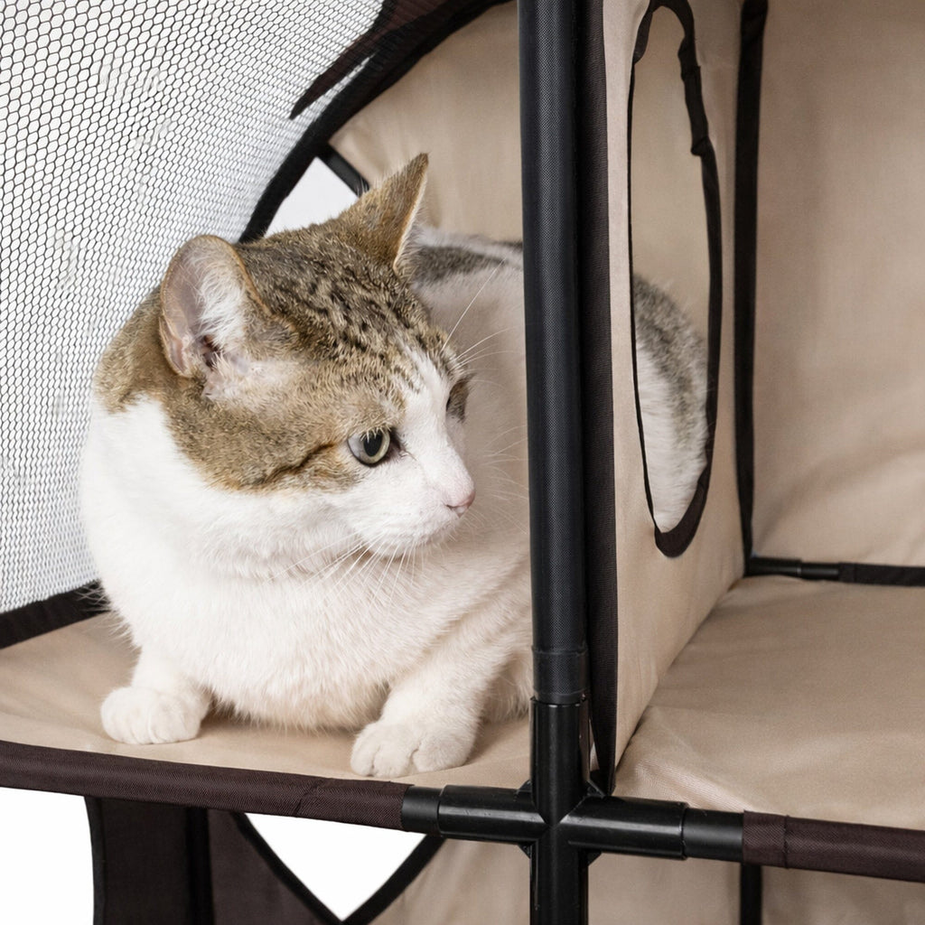 Travel Interactive Kitty Cat Tree Maze Hous