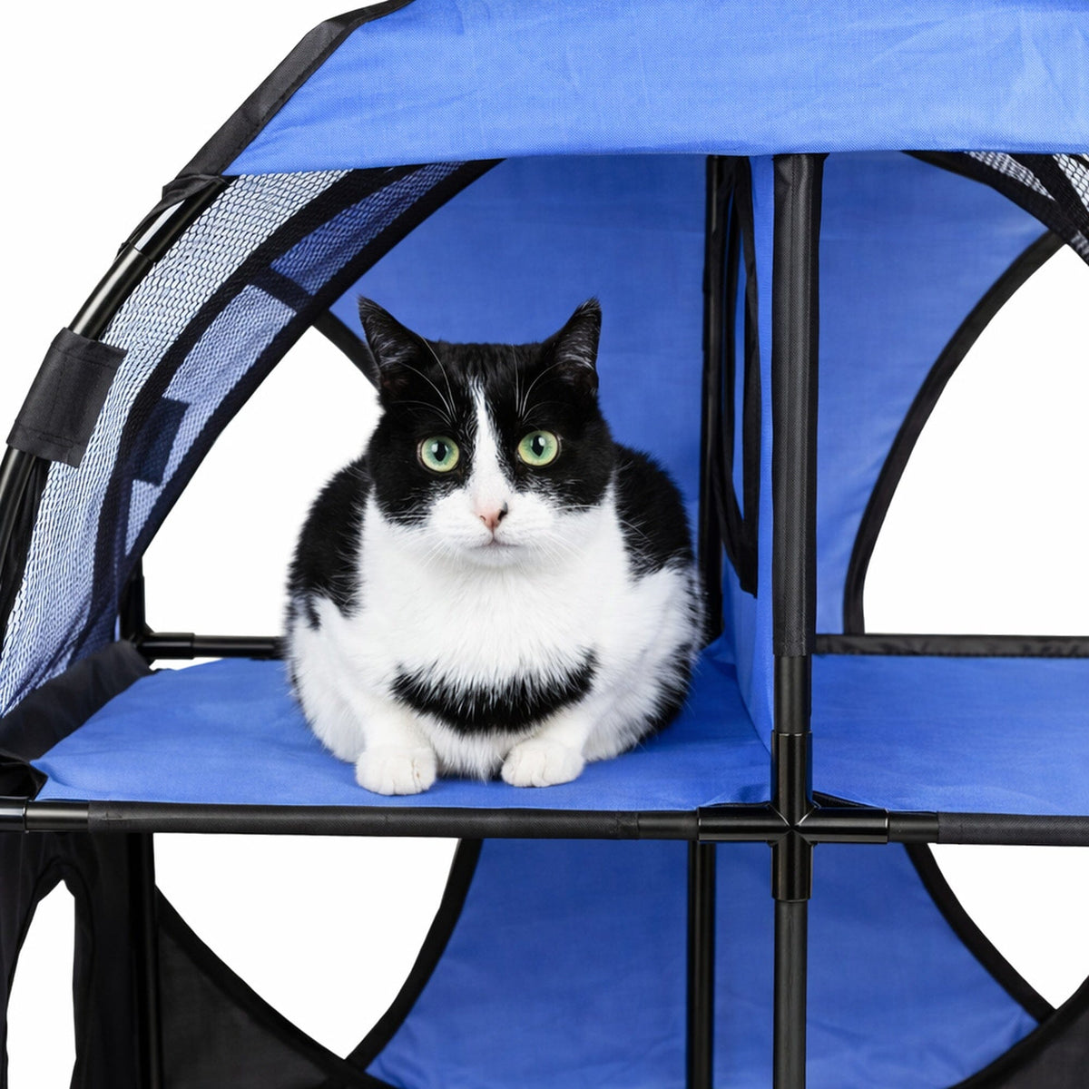 Travel Interactive Kitty Cat Tree Maze Hous