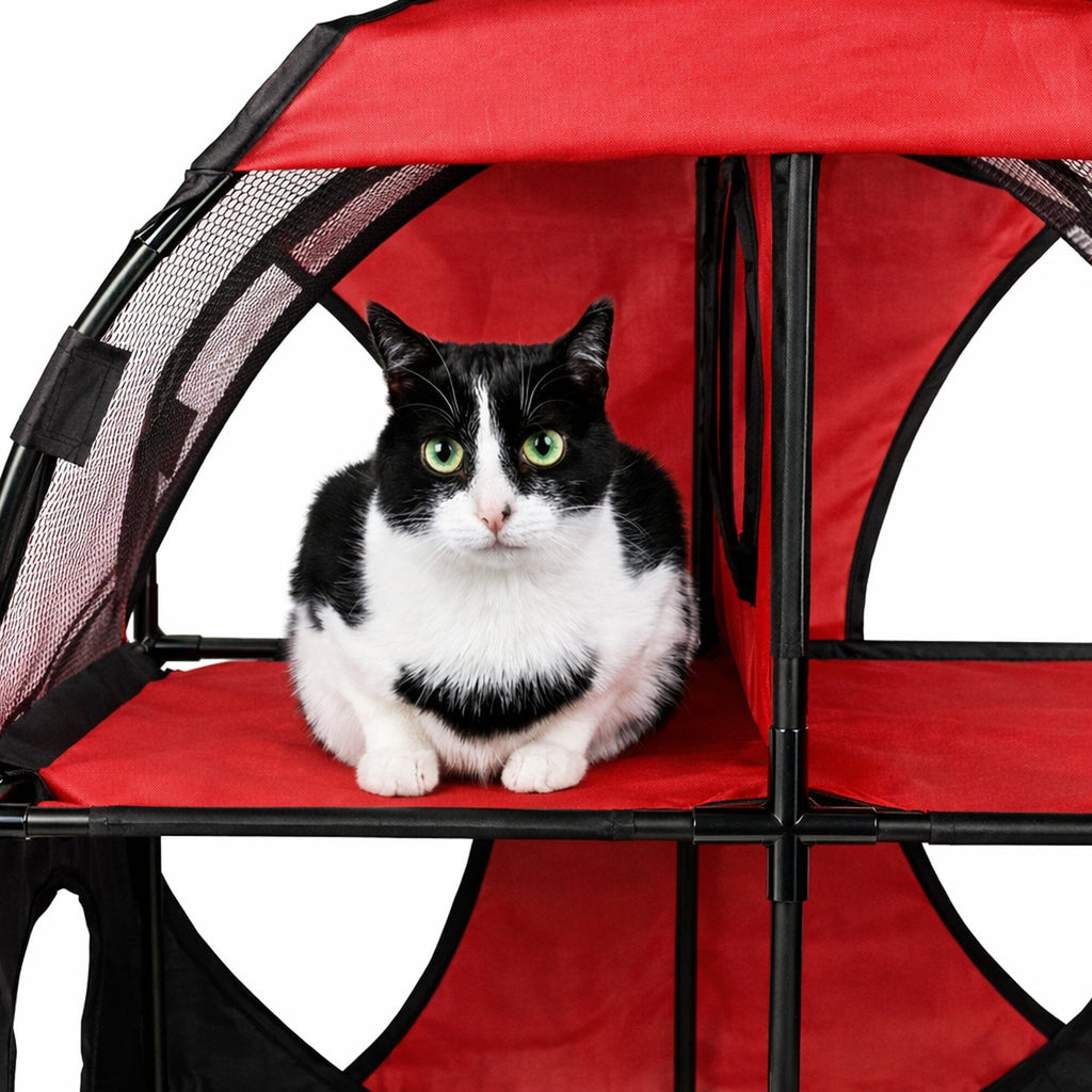 Travel Interactive Kitty Cat Tree Maze Hous