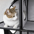 Travel Interactive Kitty Cat Tree Maze Hous