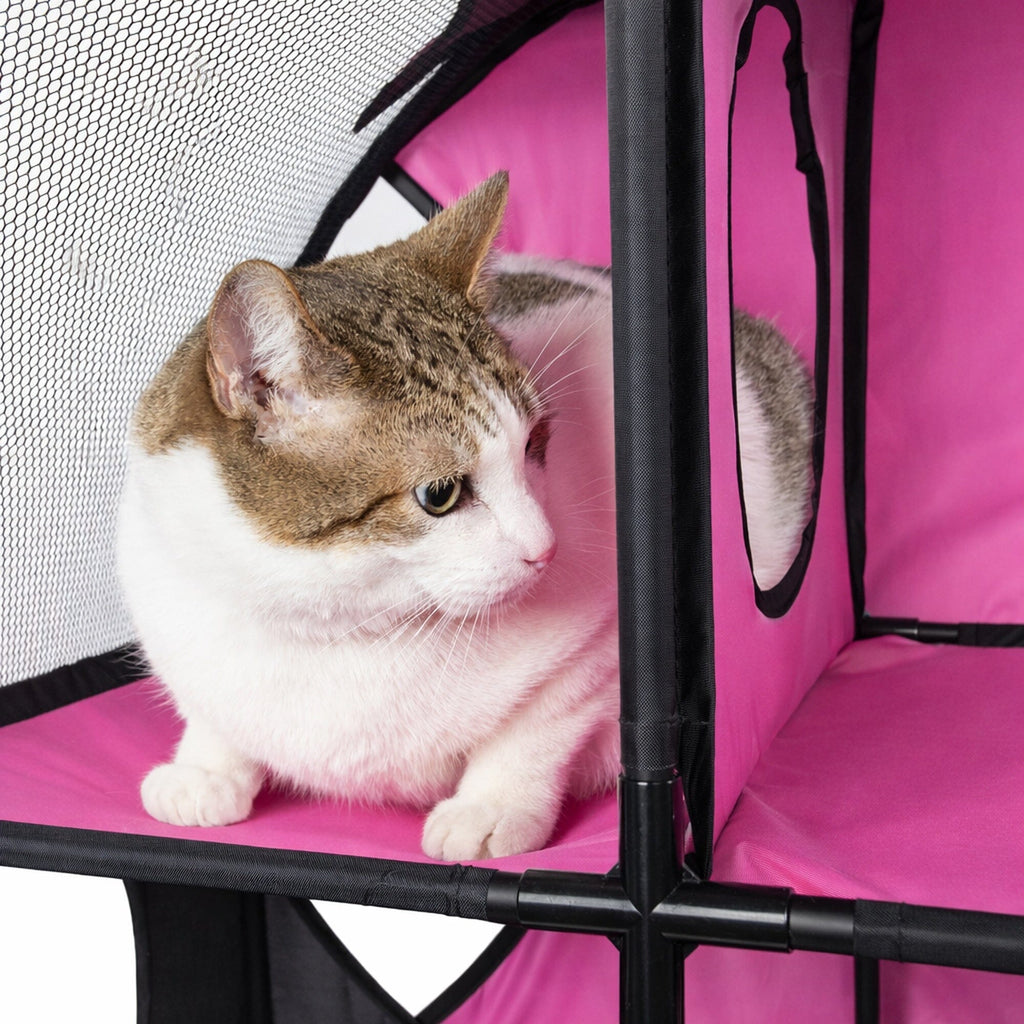 Travel Interactive Kitty Cat Tree Maze Hous