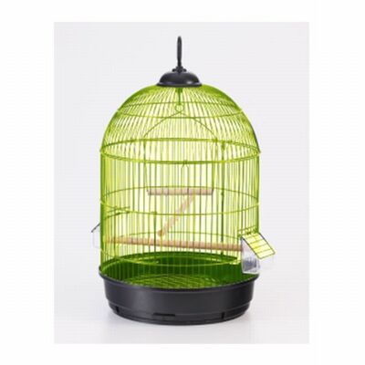 Round Brass Bird Cage with Swing and Perches