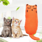 Catnip Toy For Cats