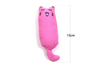 Catnip Toy For Cats