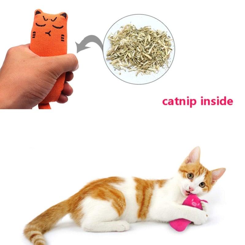 Catnip Toy For Cats