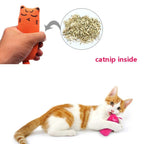 Catnip Toy For Cats