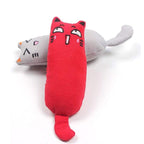 Catnip Toy For Cats