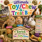 Ultimate Toy, Chew Treat box for Guinea Pigs, Chinchillas, Rabbits