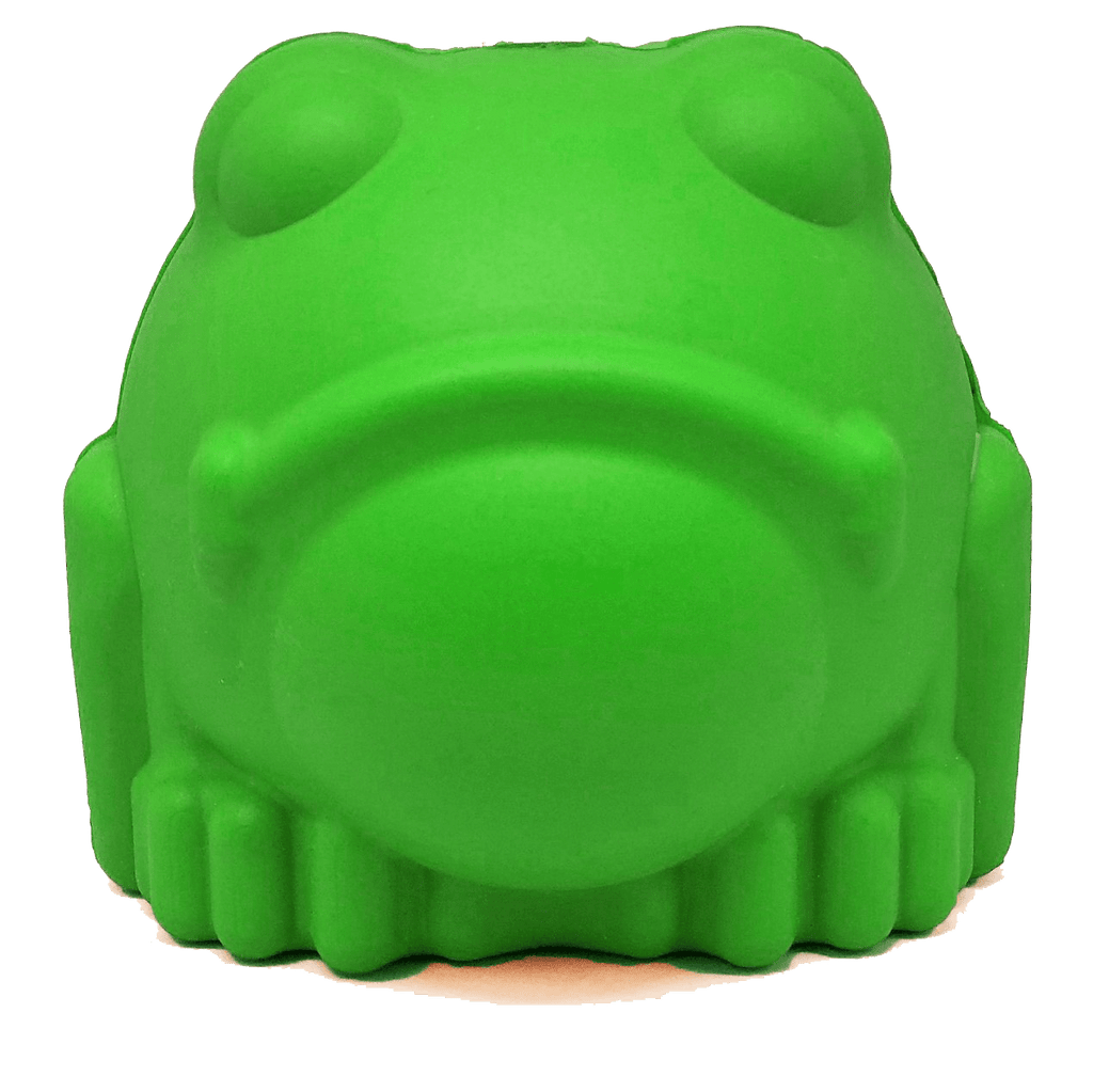 Bull Frog Dog Chew Toy