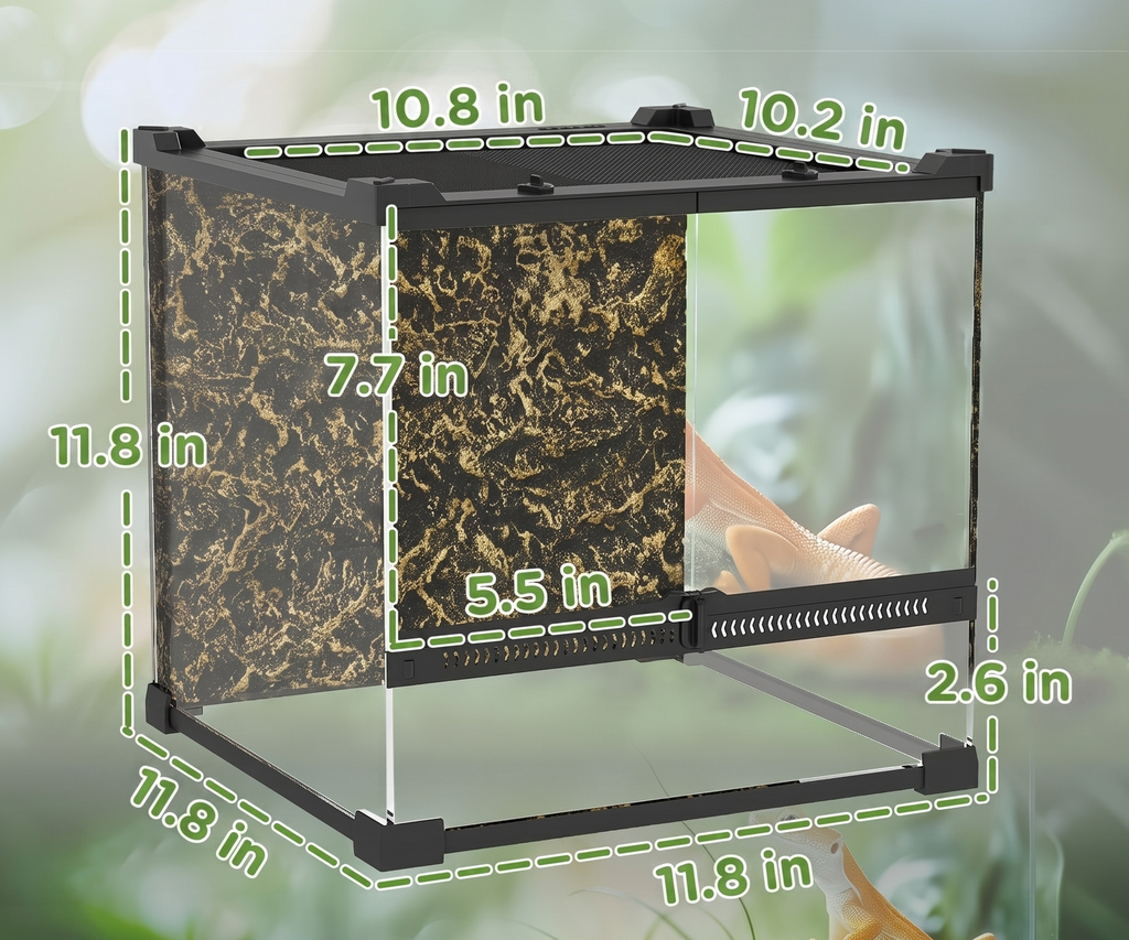 Small Reptile and Amphibian Enclosure