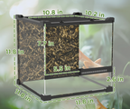 Small Reptile and Amphibian Enclosure