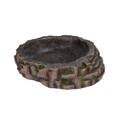 Reptile and Amphibian Terrarium Pool